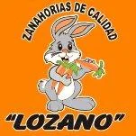 zanahorias de calidad LOZANO
